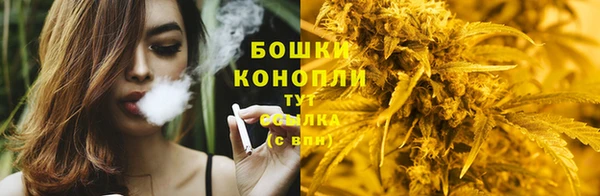 мет Арсеньев