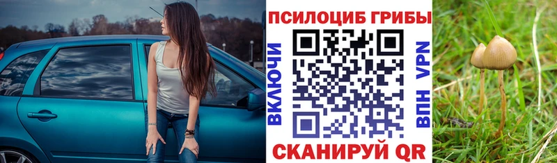 Псилоцибиновые грибы MAGIC MUSHROOMS  kraken зеркало  Макарьев  дарнет шоп 